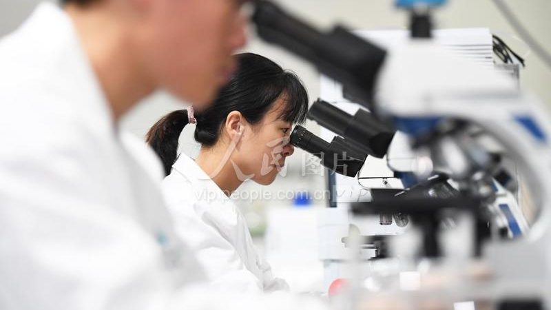 分子生物学试剂型号：揭秘其背后的技术内涵与选型逻辑