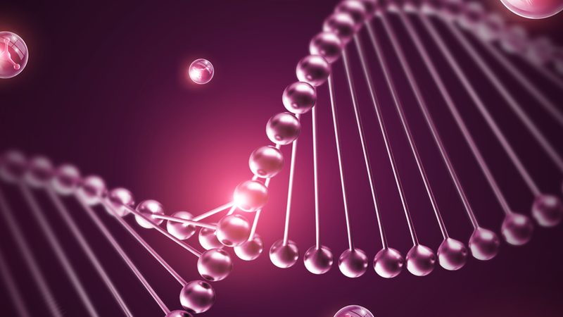 藁城市生物有限公司