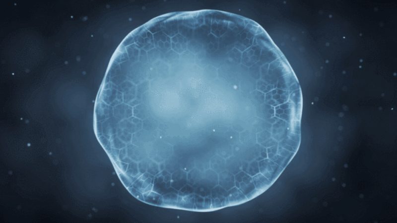 PCR耗材：揭秘其背后的技术与应用