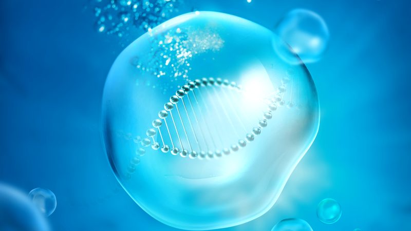 酶对比测评：如何选择合适的生物催化剂？**