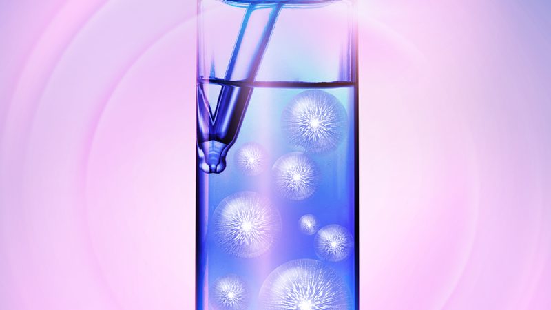 多克隆抗体定制，如何确保批间差异最小化？**