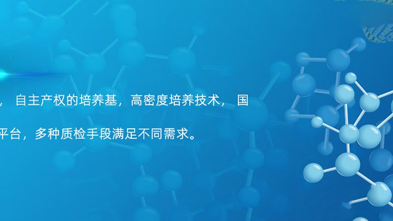 定制化CRO优化方案：收费标准背后的考量因素