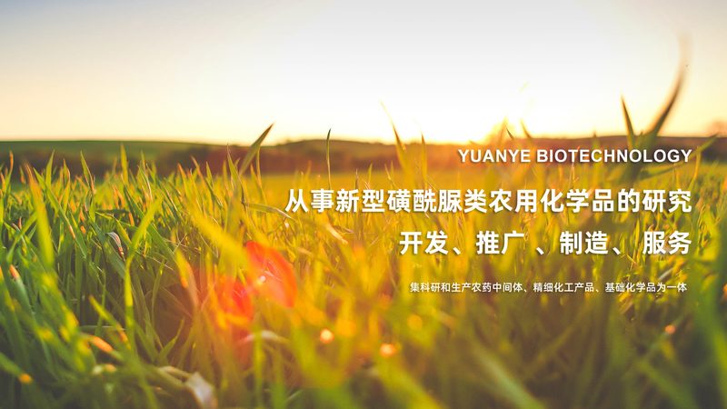 生物制品冷链运输：关键环节与合规要点**