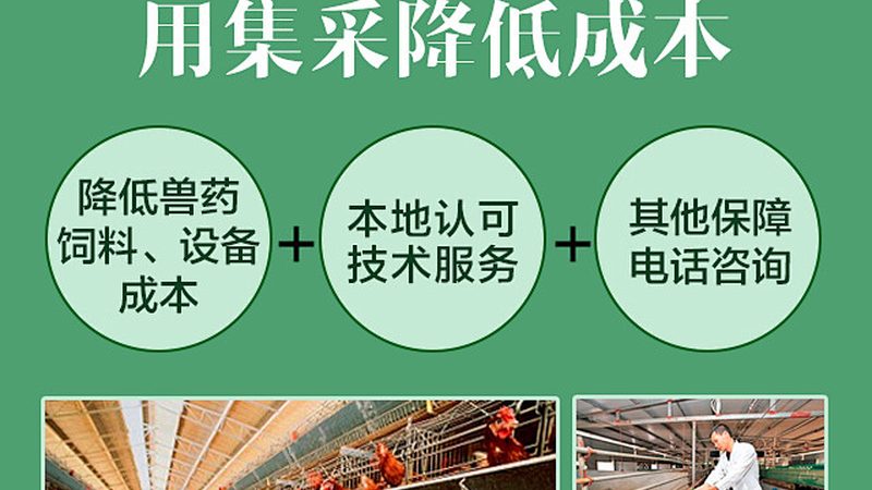 引物合成：揭秘与普通合成的关键差异**