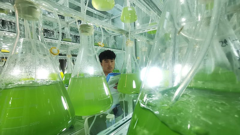 生物检测服务标准规范：最新版解读与行业影响